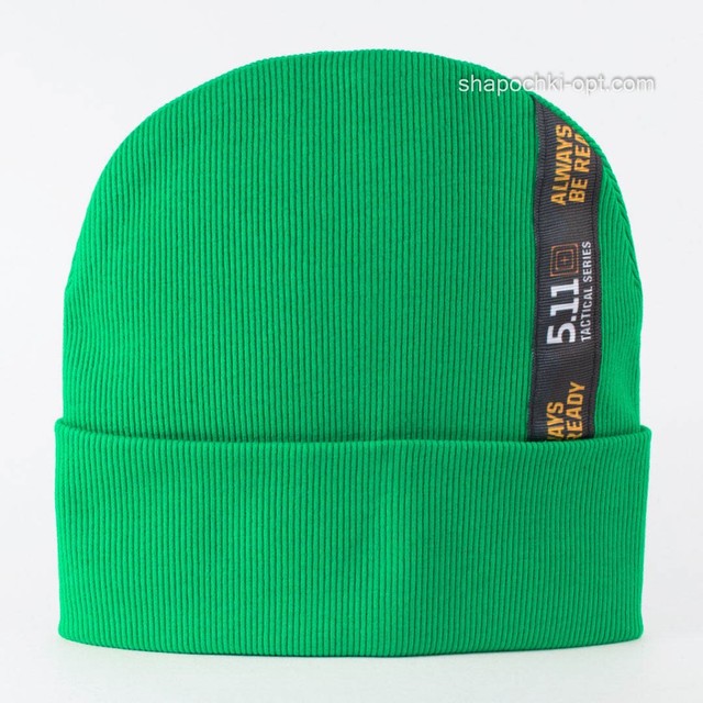 Демисезонная шапка для мальчика Редди зеленая