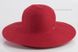 Жіночі шляпи червоного кольору оптом D 039-13