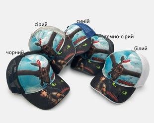 Бейсболка дитяча принт How to train your dragon-2